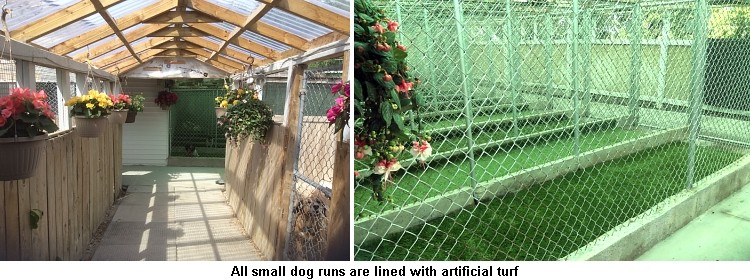 Dog Kennels Cleaned Daily